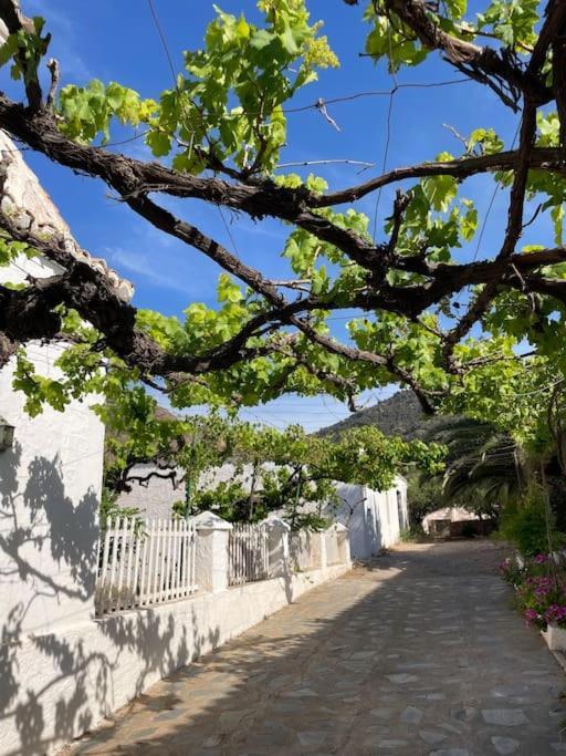 Real Fundicion De Alcora Villa Canjayar ภายนอก รูปภาพ
