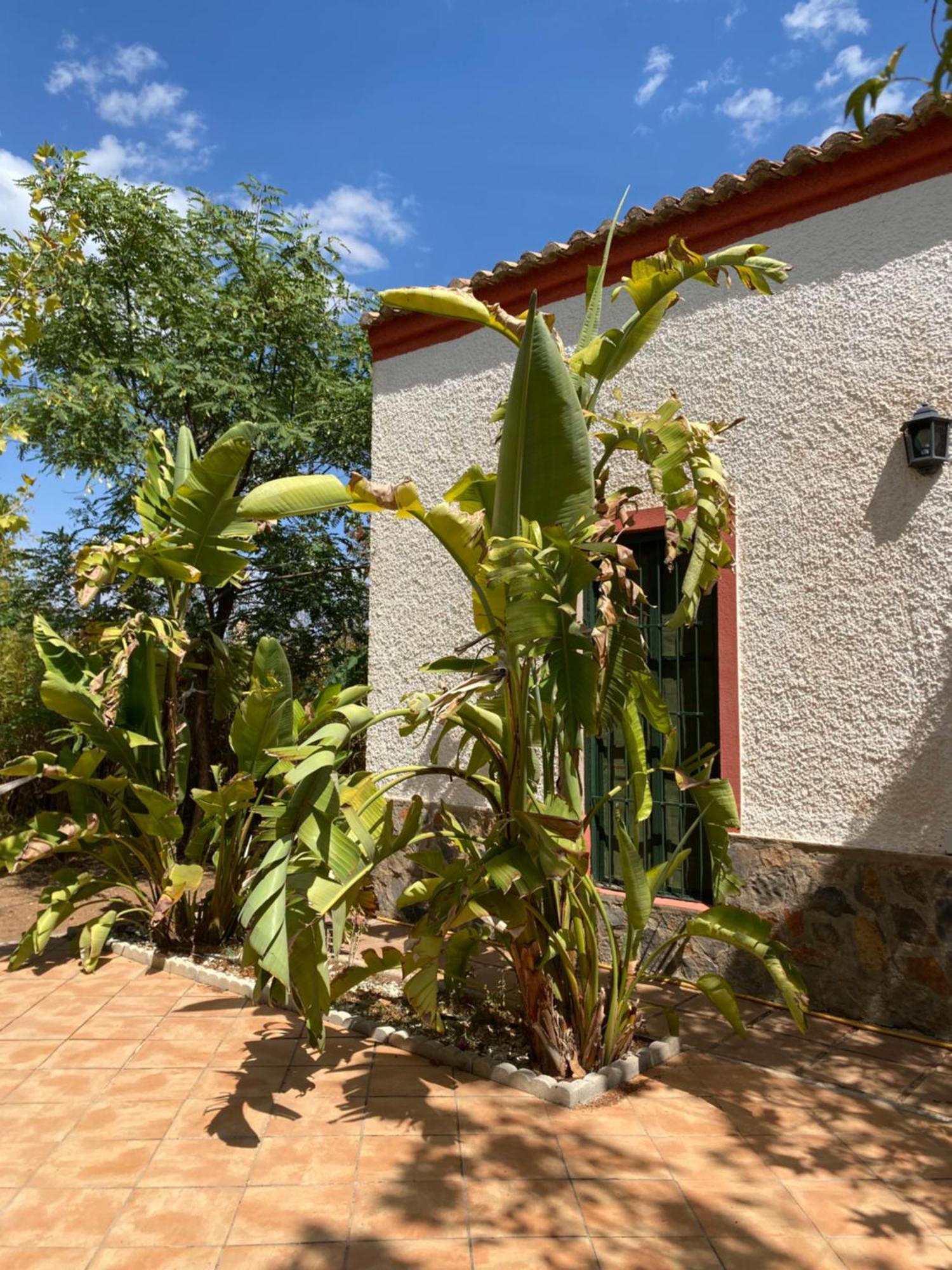 Real Fundicion De Alcora Villa Canjayar ภายนอก รูปภาพ