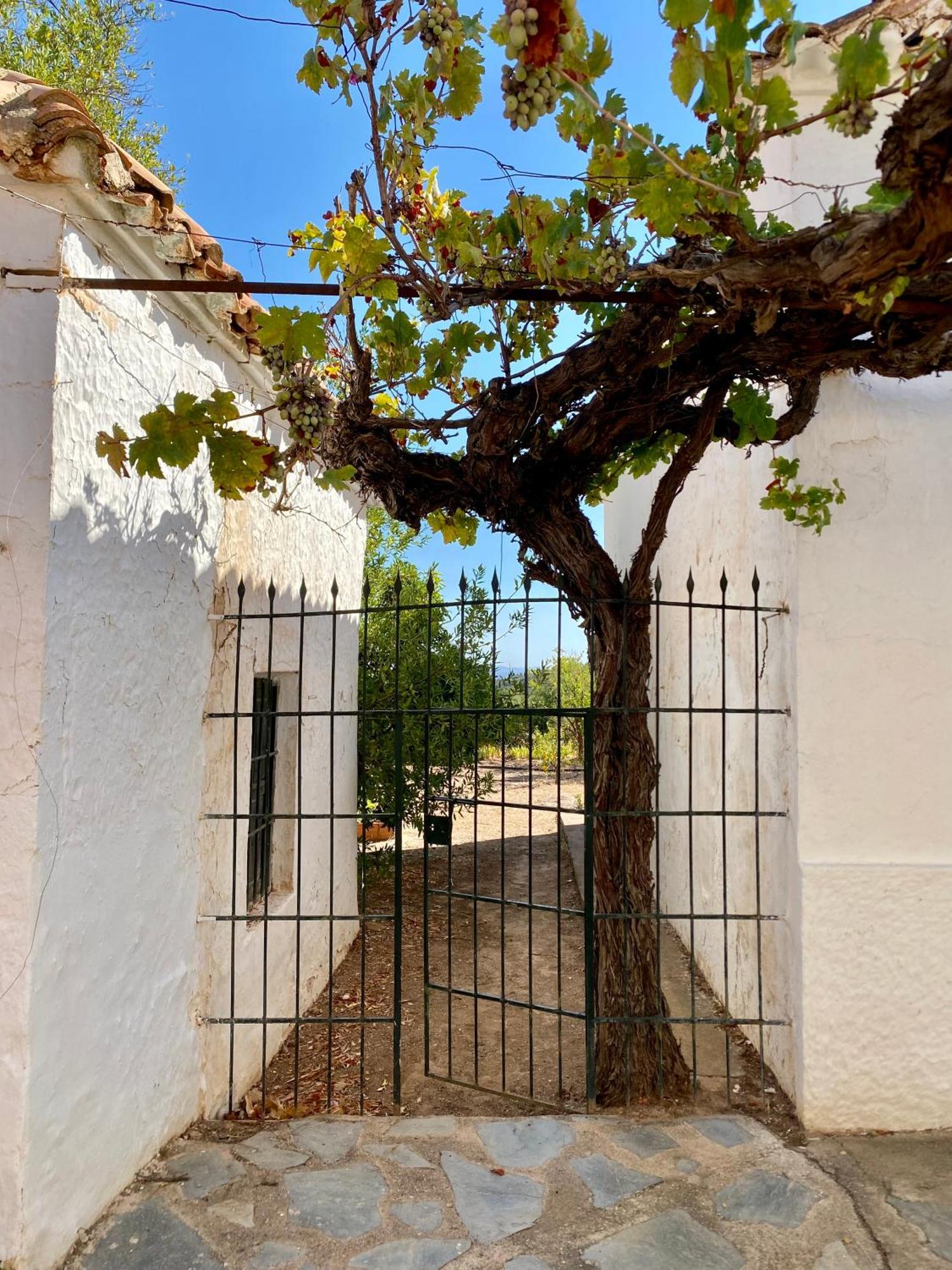 Real Fundicion De Alcora Villa Canjayar ภายนอก รูปภาพ